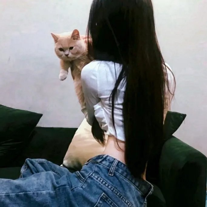 藏